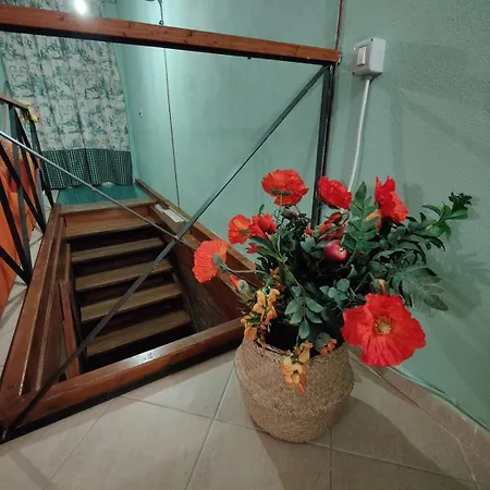 Holiday home La Muciara - Hospitality Palermo